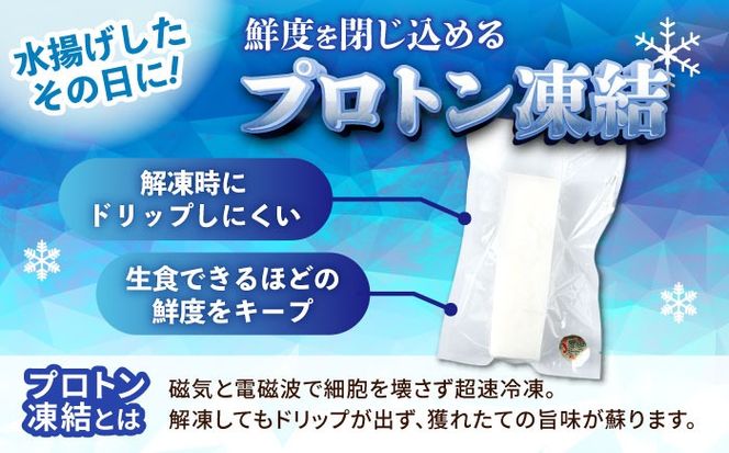 冷凍セーイカ (そでいか) 900g (300g ×3パック) 沖縄市 / 沖縄市漁業協同組合 パヤオ直売店[BCDZ008]