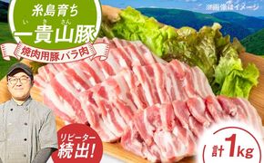 一貴山豚 焼肉用バラ肉 計1kg(250g×4p) 糸島市 / いきさん牧場 豚肉 冷凍[AGB035] 豚肉 豚 ブランド豚 一貴山豚 ポーク バラ 豚バラ 脂身 小分け 250g