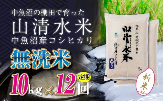 【令和8年産 新米】 【定期便／全12回】無洗米10kg　新潟県魚沼産コシヒカリ「山清水米」十日町市 米
