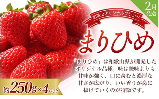 フルーツ 定期便 【全3回】＼フルーツ大国和歌山からお届け／  旬のフルーツ 定期便（いちご・桃・ピオーネ）【tkb401】