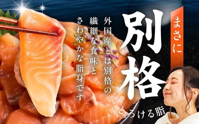 099Z616 【分けて届く定期便】国産アトランティックサーモン 1kg ポーション【小分け 真空パック 訳あり サイズ不揃い 刺身 海鮮丼 さーもん 鮭 さけ シャケ しゃけ 冷凍 全2回】