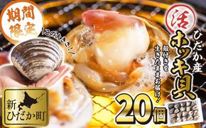 北海道産 活ホッキ 貝 20個  ホッキ 北寄 北寄貝 貝 殻付き 海鮮 海産物 新鮮 旬