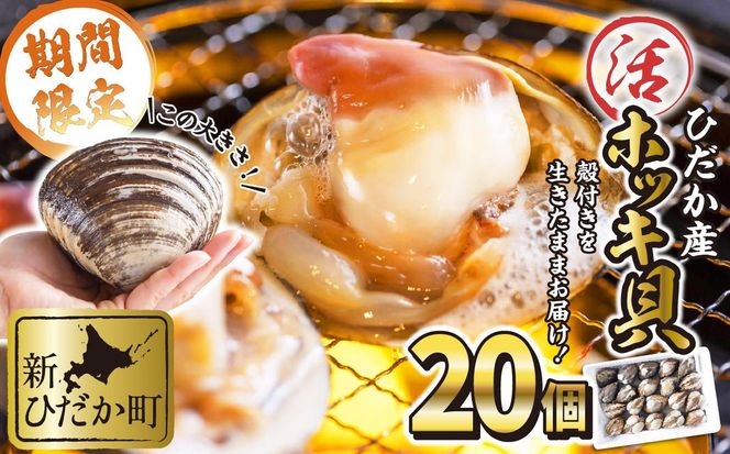北海道産 活ホッキ 貝 20個  ホッキ 北寄 北寄貝 貝 殻付き 海鮮 海産物 新鮮 旬
