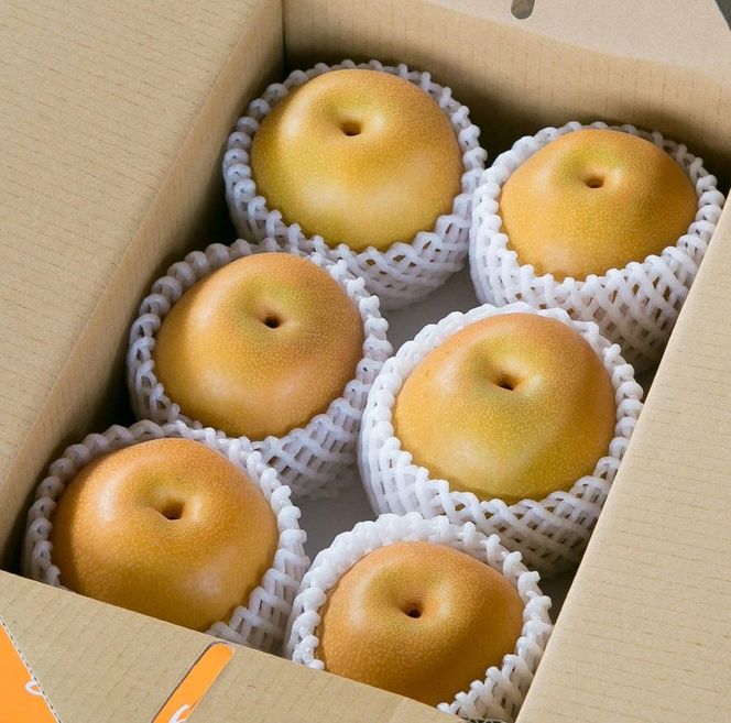 ジューシー果汁の紀州有田産の梨約２kg 　化粧箱入【先行予約】【2026年8月中旬以降発送予定】 AN029
