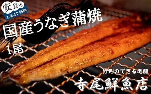 うなぎ蒲焼 国産 1尾 冷凍 タレ付き 土用の丑の日 夏バテ対策 スタミナ食 老舗 寺尾鮮魚店 職人技 特製タレ ふっくら 美味しい 国産うなぎ蒲焼 1尾 約200g 冷凍 タレ付き 鰻 ウナギ うなぎの蒲焼 うな重 うな丼 高級 贈答用 ギフト 真空パック 解凍 レンジ調理 簡単 国内産 養殖 安芸市 高知県