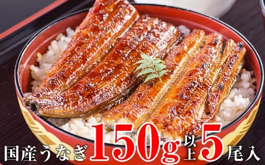 998.国産うなぎ蒲焼き大サイズ150g5本セット(A998-2)