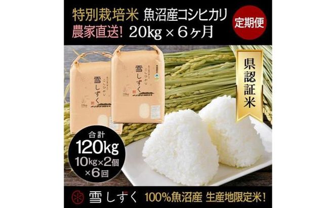 【令和8年産】定期便！農家直送！県認証特別栽培魚沼産コシヒカリ【合計120kg】毎月20kg×6回 精米 ご飯 ブランド米 銘柄米