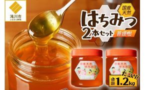 【北海道滝川産】高見養蜂場の純粋はちみつ(菩提樹、シナの木600g×2本)｜国産 日本製 天然 無添加 純粋 非加熱 生はちみつ ミツバチ ハニー 栄養 健康 美容 ビタミン ミネラル 抗生物質 プロポリス アミノ酸 濃厚 ギフト 贈答