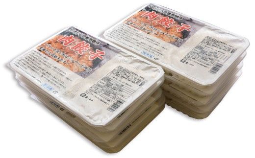 【2ヶ月定期便】ゆきむら壱番亭の肉餃子10パック(160個入り) ※離島への配送不可