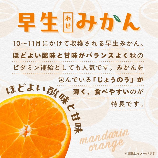 【先行受付】【数量限定】早生みかん（生果）3kg（2026年11月上旬より順次発送）IKTQ015