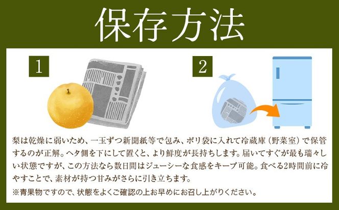 先行予約 旬 梨 フルーツ 豊水梨 約2kg 豊水 株式会社エフビーネット《8月中旬-9月上旬頃出荷》熊本県 氷川町 熊本県 氷川町産 なし ナシ 旬の梨 果物 くだもの スイーツ---hkw_efn_4_2kg---