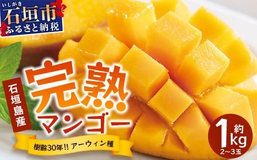 yꌧΊ_szys\zs2026N7ȍ~菇tΊ_Y }S[ (A[EB) 1kg(2`3) s30N̖؂ň}S[ty Yn  Ί_ }S[ A[EB }S[ t[c zTP-1