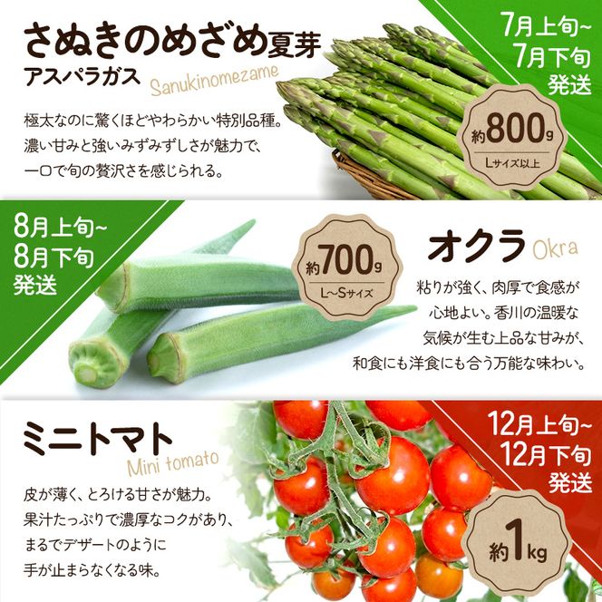 旬のさぬきの野菜定期便（6回）　野菜 定期便 旬 新鮮 食べごろ 季節 ブロッコリー アスパラ ホワイトコーン オクラ ミニトマト 香川県 東かがわ市