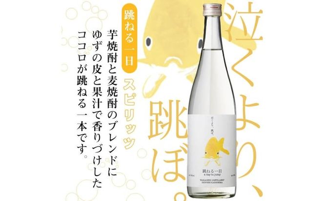 ＜入金確認後、2週間以内に発送！＞若潮酒造 焼酎・スピリッツ＜一日シリーズ＞飲み比べセット 720ml×3本 a8-071-2w
