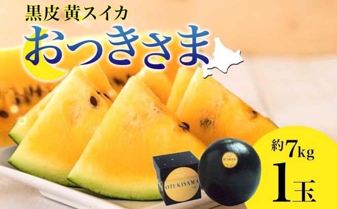 北海道 黄色 大玉 スイカ おつきさま 1玉 約7kg 2026年7月初旬より順次出荷 すいか 西瓜 黒皮 黒スイカ 黄 果物 フルーツ 旬 希少 貴重 甘い 国産 産地直送 ギフト 贈答品 お中元 お取り寄せ エーコープつきがた