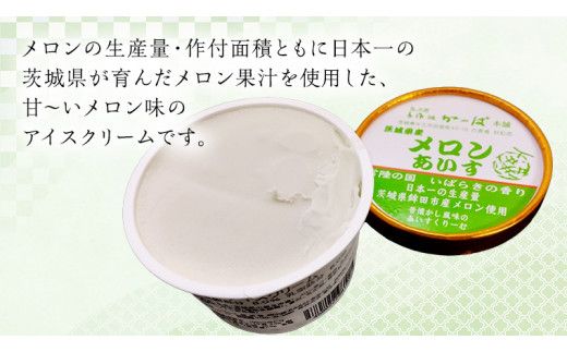 茨城県産メロンあいす 6個 アイス デザート めろん 贈り物 カップ 冷凍 [AE020us]