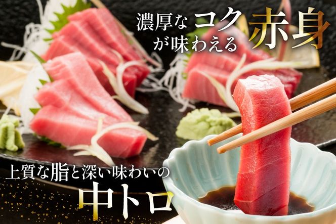 昭福丸の天然本まぐろ (中トロ･赤身) 各150g 計300g [臼福本店 宮城県 気仙沼市 20566155] 魚 鮮魚 刺身 トロ 天然本マグロ マグロ まぐろ 鮪 本まぐろ 本マグロ 本鮪 冷凍