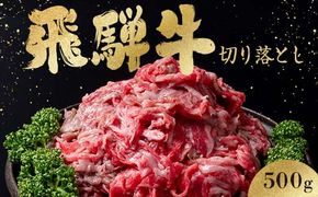 「肉の芸術品」飛騨牛切り落とし（モモ、肩、バラ）500g（250g×2）【用途は様々！焼肉、BBQ、すき焼き、煮物、牛丼、炒め物など】 F4N-2857