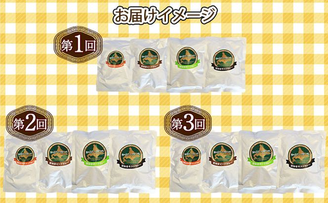 【定期便】毎月1回 計3回 カレー 4種 食べ比べ 4個 中辛 チキンレッグ スープカレー レトルト 業務用 北海道 倶知安町 【定期便・チキンカレー・ビーフカレー】 