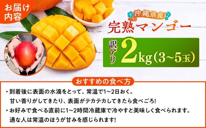 【優秀賞受賞】沖縄県産 完熟マンゴー 訳アリ 2kg (3〜5玉) マンゴー 沖縄 果物 フルーツ ギフト 沖縄市 / MAIFARM[BCAN004]