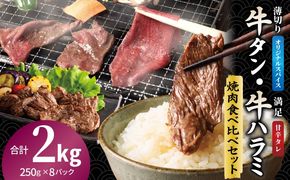 099H4379 牛タン焼肉 オリジナルスパイス＆牛ハラミ甘辛 食べ比べ焼肉セット 合計2kg（250g×8P）