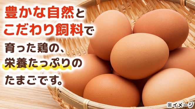 キトサン 健康 たまご 80個入 赤玉 卵 タマゴ 鶏卵 鶏 卵かけごはん ゆで卵 赤たまご 国産 茨城県 玉子 [EE001us]