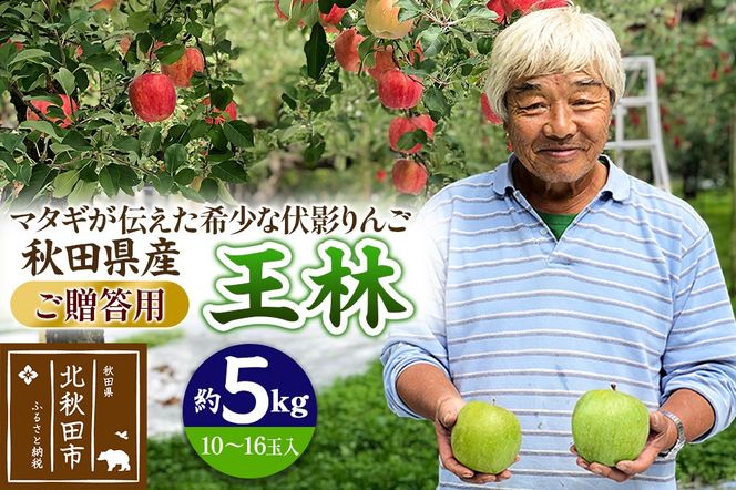 りんご 王林（ご贈答用）約5kg (10～16玉入) 伊東さんの「伏影りんご」 令和7年産 秋田県産 個数限定 リンゴ マタギのりんご|itff-00001