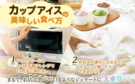 1336.アイスクリーム ジェラート 食べ比べ 15個 アイス 北海道 A セット 手作り 北海道 弟子屈町