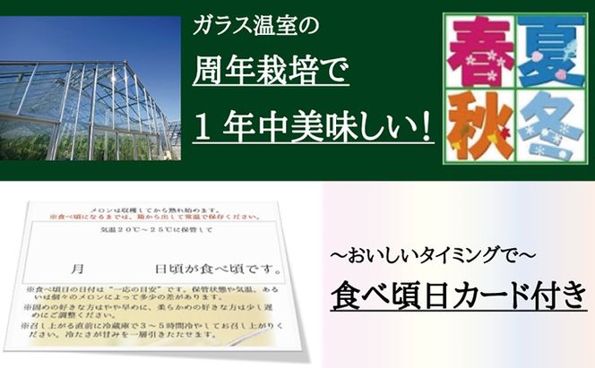 数量限定！『クラウンメロン ”名人メロン” 1玉 定期便6ヶ月』 【桐箱入】 メロン 人気 厳選 ギフト 贈り物 デザート グルメ フルーツ 果物 袋井市 果物類 メロン青肉 