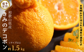  甘みと旨味がぎゅっと詰まった逸品！越冬完熟「きみのデコ」(デコポンと同品種) 1.5kg　サイズ混合 L以上 ご家庭用(秀優混合)/デコポン 不知火 柑橘  和歌山県 越冬 有機 【kmf012】