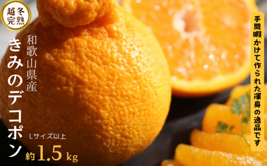  甘みと旨味がぎゅっと詰まった逸品！越冬完熟「きみのデコ」(デコポンと同品種) 1.5kg　サイズ混合 L以上 ご家庭用(秀優混合)/デコポン 不知火 柑橘  和歌山県 越冬 有機 【kmf012】