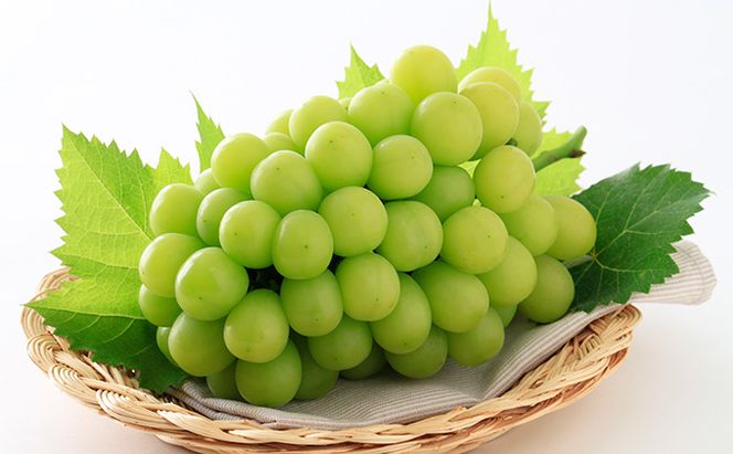 ぶどう 2026年 先行予約 シャイン マスカット 晴王 1房 700g以上 マスカット ブドウ 葡萄  岡山県産 国産 フルーツ 果物 ギフト 環山堂 大粒 種無し 甘い 豊潤 香り 皮ごと 高糖度 贈り物 