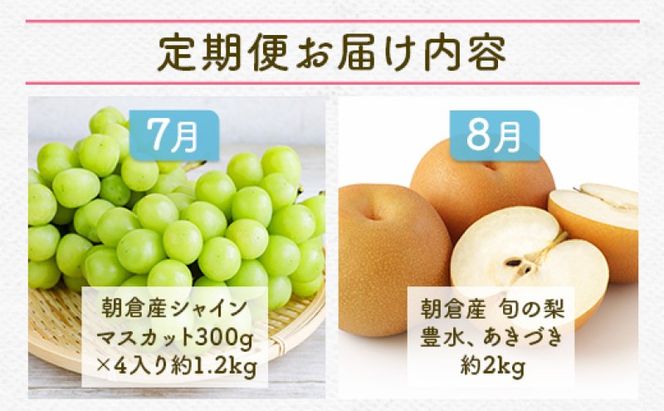 定期便 5ヶ月 果物 先行予約 シャインマスカット 梨 柿 果物 ※配送不可：離島