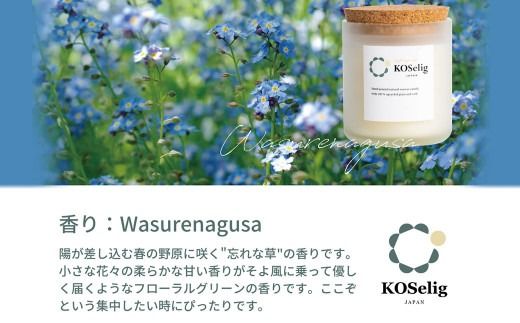 yɕ{szyYȑ̍zKOSelig JAPAN TXeBiuA}Lhu{rłnɗDLh/100%AR/I[nhChv