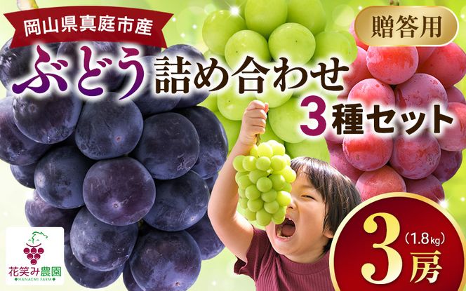 【2026年の先行予約】 岡山 花笑み農園『彩り３種セット』贈答用（1.8kg） 3M-2上 / ぶどう 詰め合わせ 食べ比べ シャインマスカット ピオーネ クイーンニーナ 岡山 真庭市 【hana084-01】