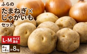 【2026年発送】ふらの産 たまねぎ×じゃがいも セット 約8kg（4kg＋4kg） L～Mサイズ混合 ( 北海道 富良野市 野菜 新鮮 直送 玉ねぎ 道産 ふらの 送料無料 数量限定 )