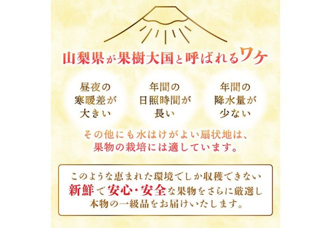 【2026年発送】【定期便】 厳選 フルーツ定期便 【選べる定期便 3回 2回】 厳選 フルーツ 定期便 シャインマスカット 桃 黒ぶどう 果物 フルーツ くだもの 旬 もも ぶどう 山梨 富士吉田