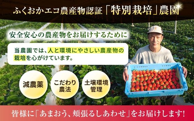 【農家直送！】【先行受付】 糸島産 あまおう 280g × 4パック (Sサイズ～Gサイズ)  【2027年1月上旬以降順次発送】糸島市 / 後藤農園 [AML003] いちご 福岡 ランキング 上位 人気 おすすめ