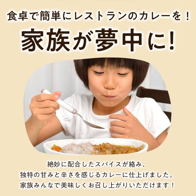 淡路島の牛肉とたまねぎ使用　今井ファームビーフカレー　200ｇ×10食　レトルトカレー