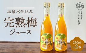 梅ジュース　250ml×2本　中棚温泉　長野　信州　小諸
