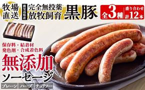 a1111 ＜保存料・発色剤・結着材・合成着色料 無添加＞月ノ灯牧場直送！鹿児島県産黒豚ソーセージ3種盛り合わせ計12本(ソーセージ4本・ハーブソーセージ4本・チョリソー4本)【pig village company】 姶良市 国産 豚肉 黒豚 ソーセージ セット 鹿児島