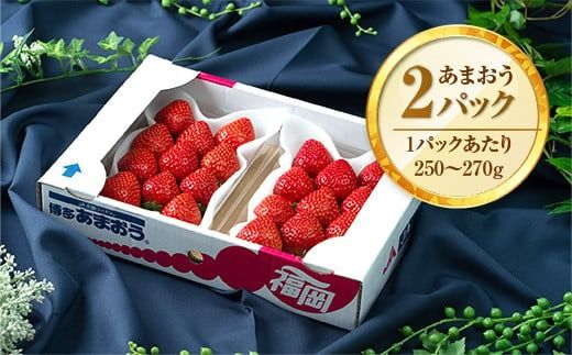 福岡産あまおう冬2パック ※2024年12月上旬から2025年1月下旬に順次発送予定　AX001