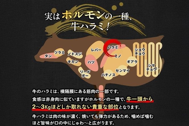 牛肉 焼肉 国産 特製たれ漬 牛ハラミ サガリ 500g [宇美ホルモン 福岡県 宇美町 um40azp100003] ハラミ はらみ 牛はらみ 小分け 個包装 牛 肉 焼き肉 ホルモン タレ漬け たれ漬け