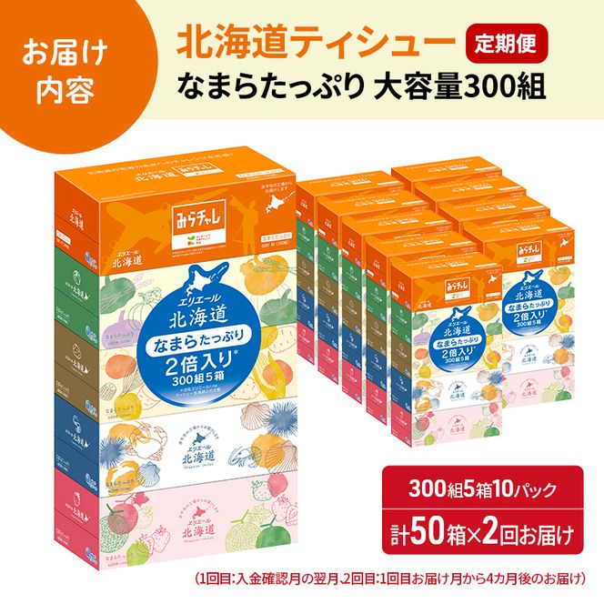 【2回お届け 計100箱】エリエール 北海道 ティシュー なまらたっぷり 300組5箱 10パック 大容量 まとめ買い 防災 常備品 備蓄品 消耗品 日用品 生活必需品 送料無料 赤平市 ストック 