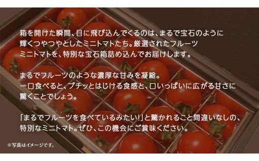 《 選べる 内容量 》フルーツ ミニトマト の宝石箱 18粒 / 36粒 (茨城県共通返礼品：大子町) 野菜 フルーツ 旬 季節限定 期間限定