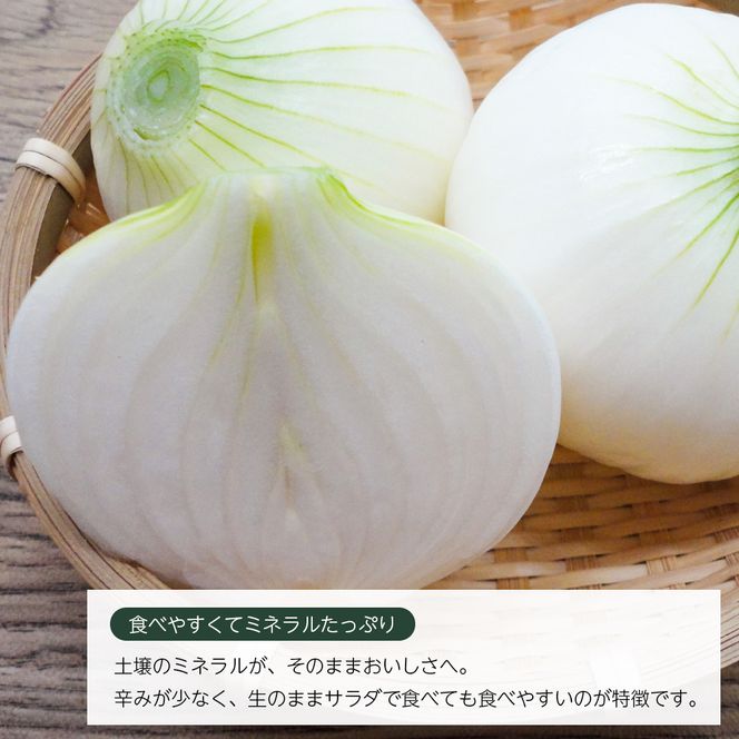 【新玉ねぎ】いざなぎ農園の淡路島玉ねぎ 5kg【発送時期2026年5月頃】