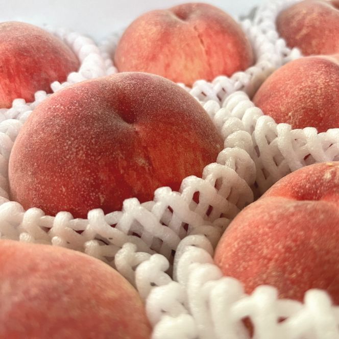 【2026年先行予約】【夏の美味】フルーツ王国 和歌山の桃 4～6玉(約1.5kg) ｜ もも モモ 桃 国産 フルーツ 果物 果実 お取り寄せ ギフト デザート スイーツ 贈り物