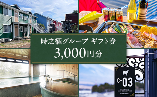 時之栖グループギフト券（3,000円分）【チケット　宿泊　食事　体験】