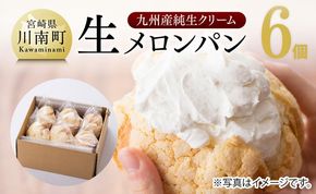 パン 『押川春月堂本店』生メロンパン6個