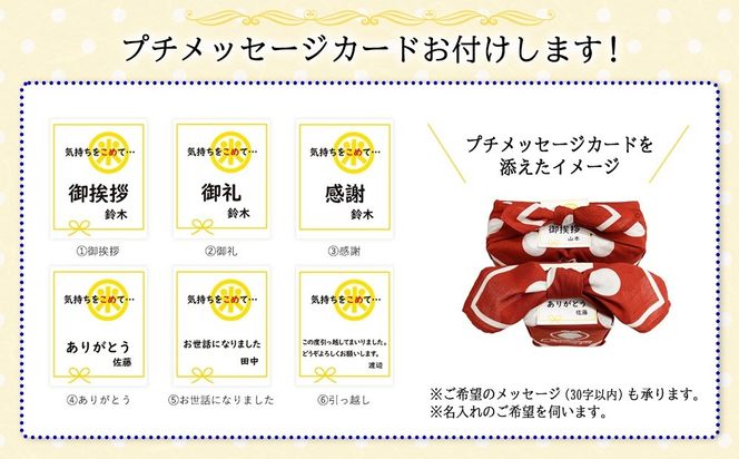 [五ツ星お米マイスターおすすめ] えらべるお米 プチギフト 2つ包み（2銘柄）青色